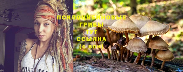 jwh Верея